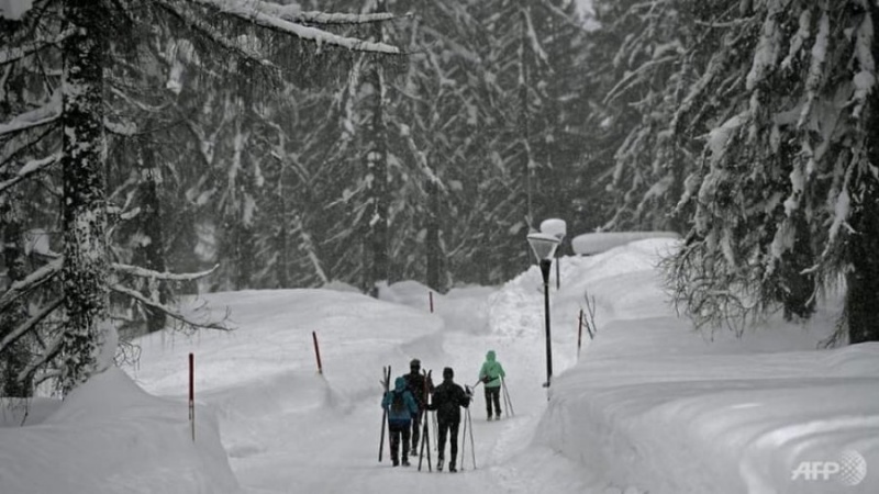 Orteku në Austri vret 3 skiatorë dhe plagos 2 të tjerë
