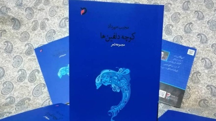 «کوچه دلفین‌ها» اثر شاعر افغانستانی برنده جایزه «شاملو» شد