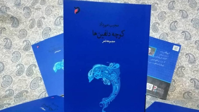 «کوچه دلفین‌ها» اثر شاعر افغانستانی برنده جایزه «شاملو» شد