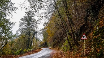 دارستانی داڵخانی، داڵانی بەھەشت لە باشووری ڕۆژھەڵاتی ڕامسەری ئێران