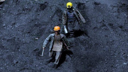  عواید افغانستان از صادرات زغال سنگ افزایش یافته است