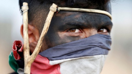 غلیل اور پتھروں سے صیہونی دہشتگردی کا مقابلہ کرتے فلسطینی نوجوان۔ ویڈیو