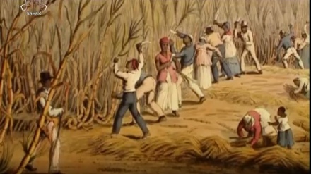 ڈاکومینٹری پروگرام - غلاموں کی تجارت