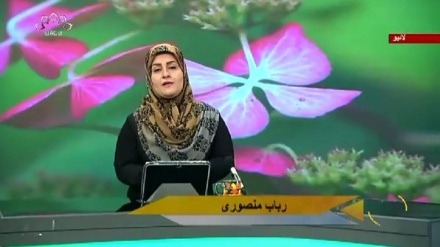 سماجی پروگرام ۔ زندگی سلام