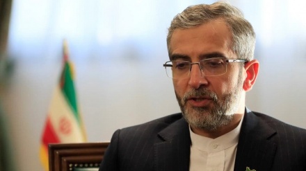 ویانا میں سمجھوتے کے حصول کے لئے اختلافات قدرے کم ہوئے ہیں: ایران