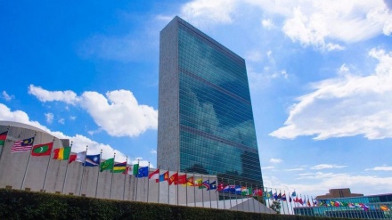 واکنش‌ها به انتخاب نماینده جدید افغانستان در سازمان ملل