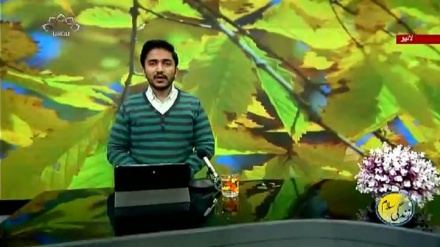 سماجی پروگرام ۔ زندگی سلام