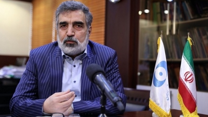 BAEA-nın İranla bağlı açıqlamaları təhrif edilib