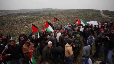 Izraelske snage ranile više od 220 palestinskih demonstranata na Zapadnoj obali