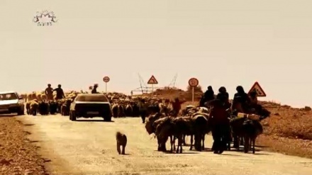 دستاویزی پروگرام - آگ اور گڑها