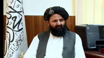 امریکہ اپنی بیس سالہ ناکامی سے عبرت حاصل کرے: طالبان