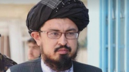  Alîkarê Berdevkê Talibanê: Em ji bo berfirehkirina pêwendiyan bi Îranê ra hewil didin