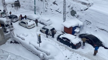 برفباری میں پھنسے ۲۱ سیاحوں نے جان گنوائی، پاکستان حکومت نے علاقے کو آفت زدہ قرار دے دیا