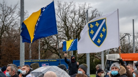 Građani BiH širom svijeta održali demonstracije i okupljanja podrške domovini