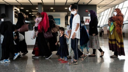 ترکیه ۵۰۰ پناهجوی افغان را اخراج کرد