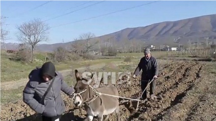 EuroNews gjerman: Nafta shumë e shtrenjtë, toka punohet si në mesjetë