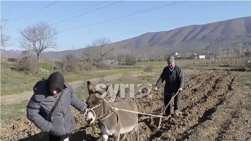 EuroNews gjerman: Nafta shumë e shtrenjtë, toka punohet si në mesjetë