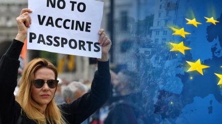 Protestuesit shkatërrojnë zyrën e BE-së në Bruksel