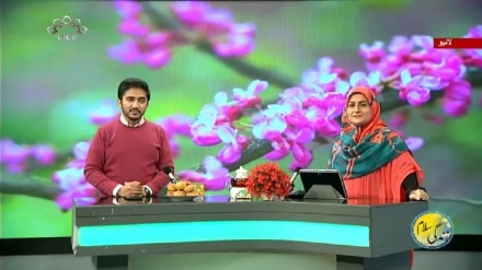 سماجی پروگرام ۔ زندگی سلام