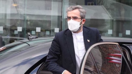     Kryenegociatori i Iranit në bisedimet bërthamore u nis për në Vjenë