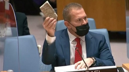 İşğalçıya daş atan terrorçudur yoxsa işğala məruz qalanın üzərinə atəş açan?-VİDEO
