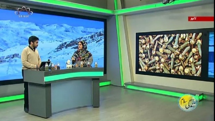 سماجی پروگرام ۔ زندگی سلام