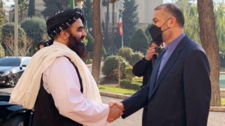 طالبان وفد کا دورہ تہران، وزیر خارجہ سے ملاقات، مختلف موضوعات پر ہوا تبادلہ خیال