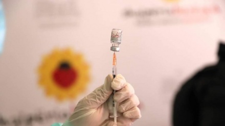 COVID/ Kategoritë që nuk lejohen pa certifikatë vaksinimi në punë