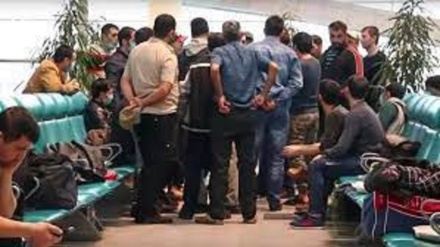 استقبال از روند اعزام کارگران افغان به قطر 