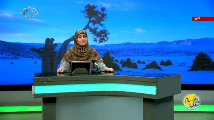 سماجی پروگرام ۔ زندگی سلام