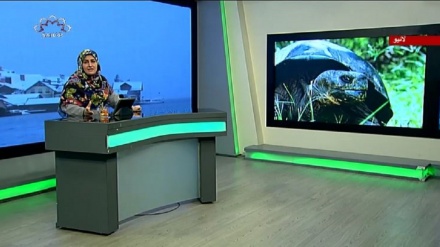 سماجی پروگرام ۔ زندگی سلام