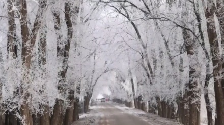 برفباری کے بعد کے افسانوی مناظر۔ ویڈیو