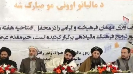 طالبان: مالیات ستون یک کشور است و مردم در پرداخت آن تلاش کنند