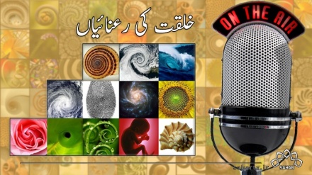  ریڈیو تہران کا سماجی پروگرام خلقت کی رعنائیاں