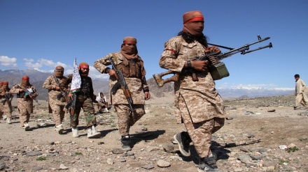 طالبان در امتداد خط مورد مناقشه «دیورند» نیرو مستقر می‌کند
