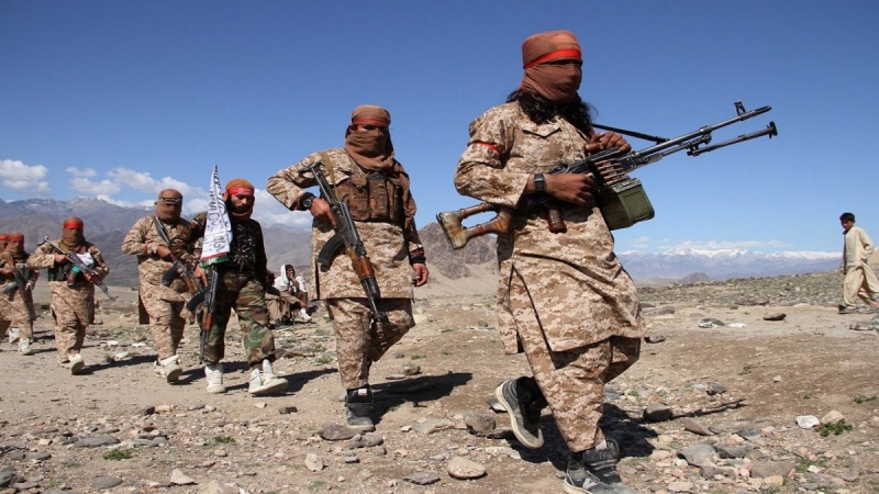 طالبان در امتداد خط مورد مناقشه «دیورند» نیرو مستقر می‌کند