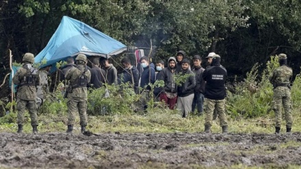 قتل بیش از 240 پناهجو در مرز بلاروس 