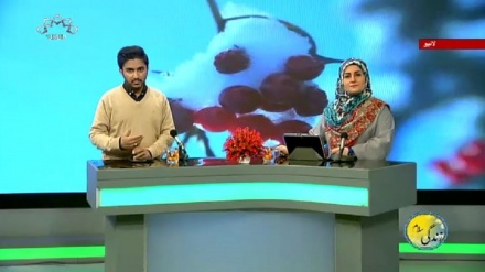 سماجی پروگرام ۔ زندگی سلام