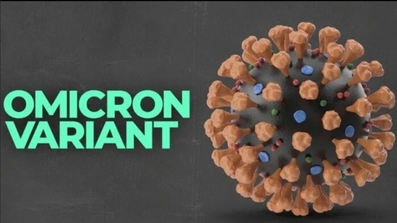 Shtami Omicron B.A. 2; Shtami dominues i botës