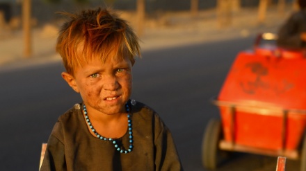 افغانستان میں سوء تغذیہ کی وجہہ سے 10 لاکھ بچوں کی جان خطرہ میں