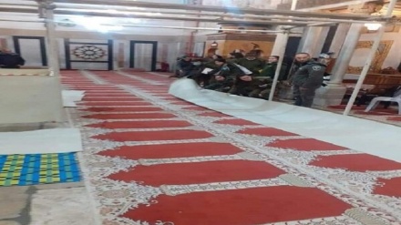 مسجد ابراہیمی کی بے حرمتی