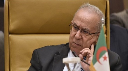 الجزائر نے مراکش کو دیا سخت انتباہ، اسرائیل کو سرحد تک  پہنچانے کی کوشش نہ کرے