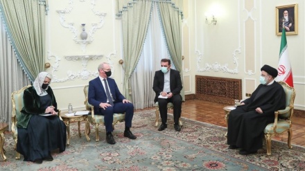 وزیر خارجہ آئرلینڈ کی صدر ایران سے ملاقات، دوطرفہ اقتصادی تعاون پر زور