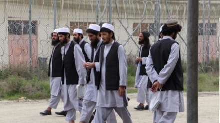  Bi sedan kes ji nav refên Talibanê li Efaxnistanê hatin derxistin
