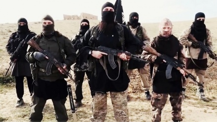 القاعده در افغانستان بازسازی نشده است/کشته شدن الظواهری خوش‌بینانه است