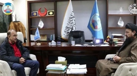 تولید برق؛ پیشنهاد ایران به افغانستان