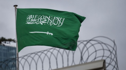 سفاکیت، ظلم و جبر اور فرقہ واریت پر استوار آل سعود کے اقدام پر عالمی رد عمل