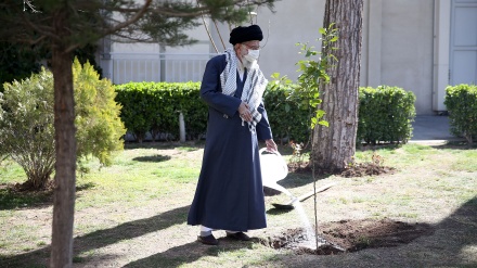 یوم شجر کاری کے موقع پر قائد انقلاب اسلامی نے پودا لگایا