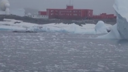 Antarktidada Nyu-York şəhəri böyüklüyündə buz şelfi çöküb