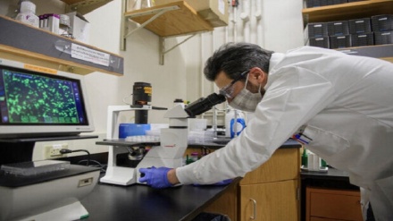 ایرانی سائنسدان، سرطان کا طریقہ علاج ایجاد کرنے میں کامیاب 